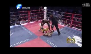 武林风中韩对抗赛