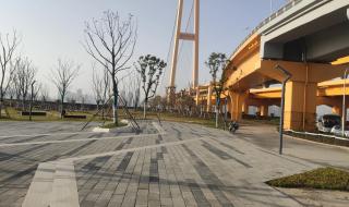 杨泗港长江大桥