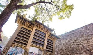 像小朵一样 像小朵一样