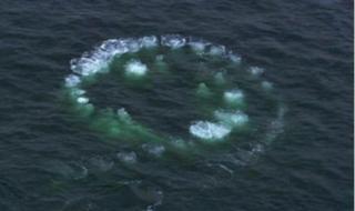 神舟十二号发射