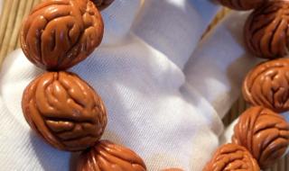 娱乐金鱼眼粤语 娱乐金鱼眼粤语