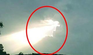 天使真正的样子 天使真正的样子