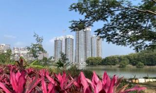 亚运城天逸价格 亚运城天逸价格