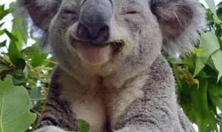 只要妈妈笑一笑 只要妈妈笑一笑