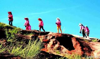 延安市志丹县地貌 延安市志丹县地貌