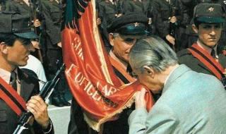 阿尔巴尼亚针的织法