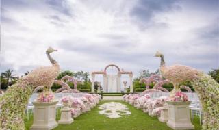 真草坪价格 真草坪价格