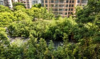 上海一号线 上海一号线