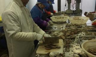 腌鱼的做法 腌鱼的做法