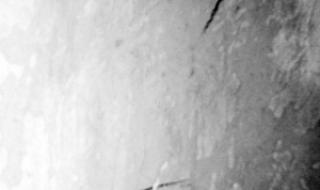 小偷的记号 小偷的记号