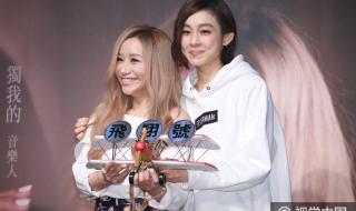 范玮琪台北演唱会取消 范玮琪台北演唱会取消