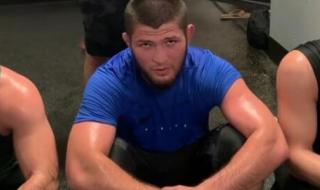 小鹰哈比布 小鹰哈比布