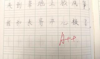 三年级放风筝看图写话