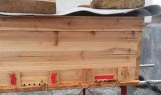 中蜂双王群 中蜂双王群