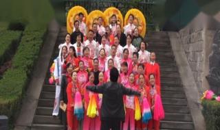 山丹丹开花红艳艳dj