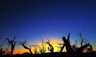 数万人看问天发射 数万人看问天发射