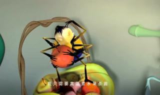 小狐狸发明记主题曲