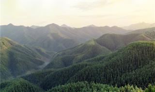 景德镇旅游景点必去 景德镇旅游景点必去