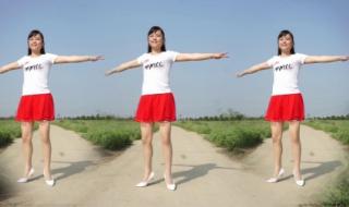 潇洒走一回广场舞 潇洒走一回广场舞