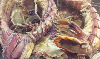 宝贝乖一点好不好