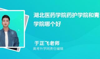 湖北医学院药护学院 湖北医学院药护学院