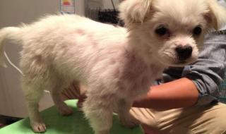 秋雨绵绵无绝期 秋雨绵绵无绝期